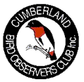 Cumberland Bird Observers' Club 